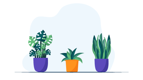 Work_from_home_setup_Plants