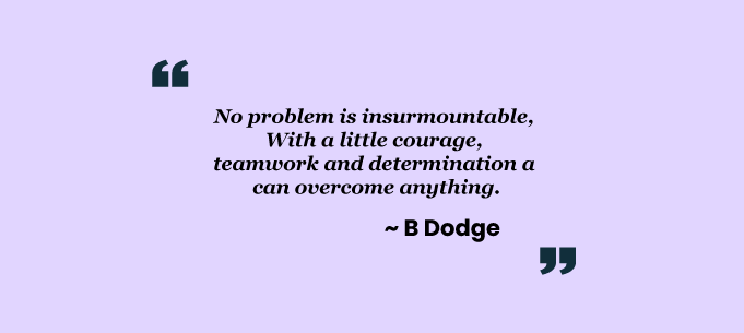 Teamwork quotes by B.Dodge