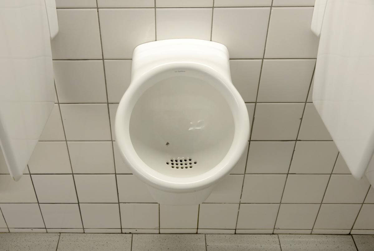 Fly in the urinal is an example of Nudge theory